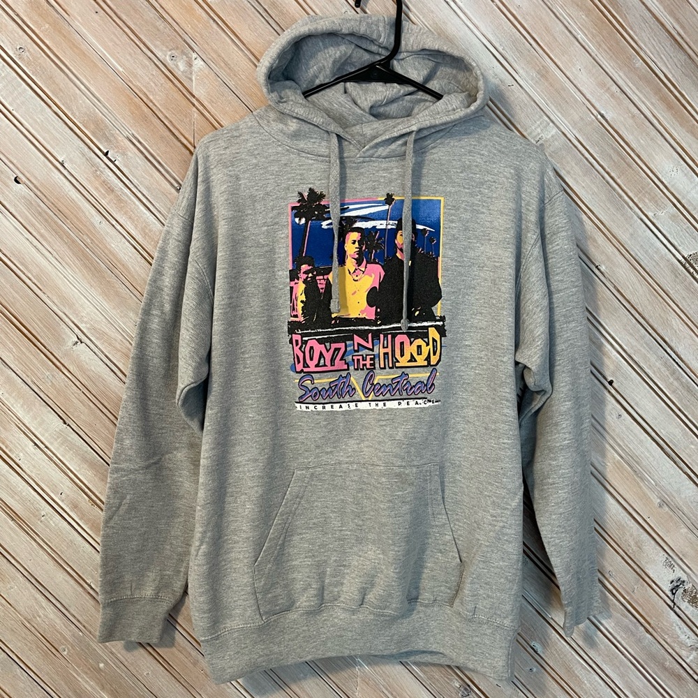 Boys in the Hood South Carolina Gray Graphic Hoodie with Vibrant Print Ice Cube